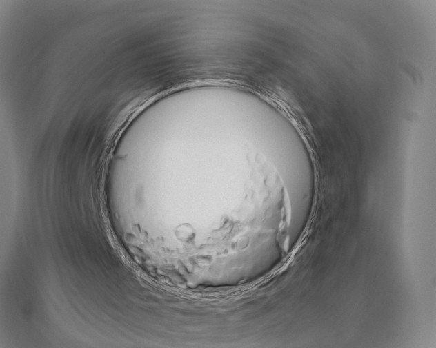 X0000111210001200908121142