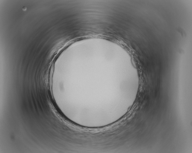 X0000111210002200908121142