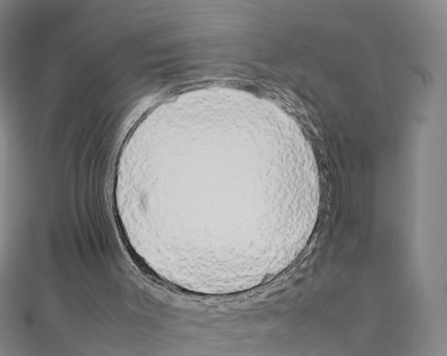 X0000111210003200908121142