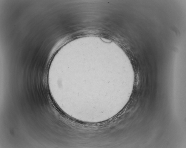 X0000111210004200908121142