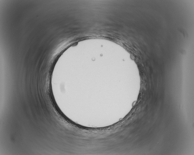 X0000111210005200908121142