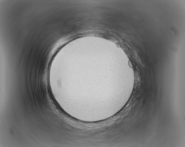 X0000111210006200908121142