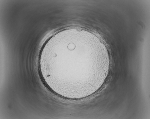 X0000111210007200908121142