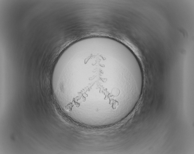 X0000111210009200908121142