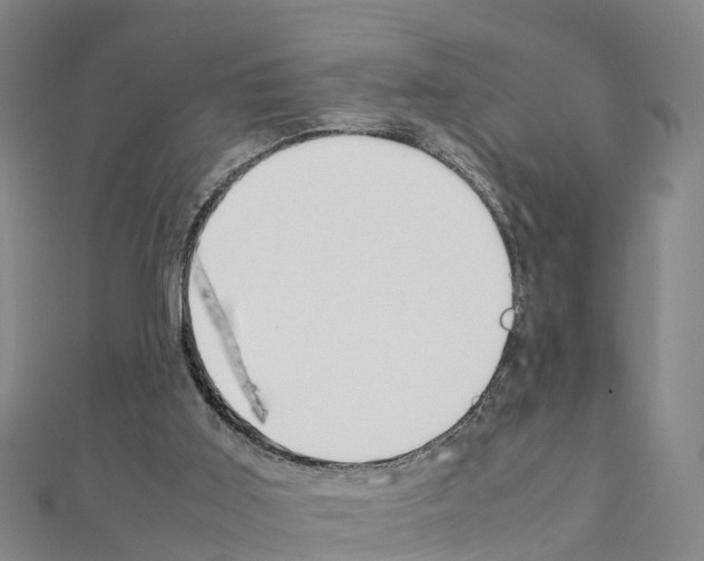 X0000111210011200908121142