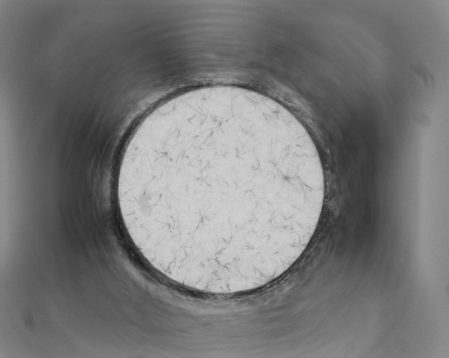 X0000111210012200908121142