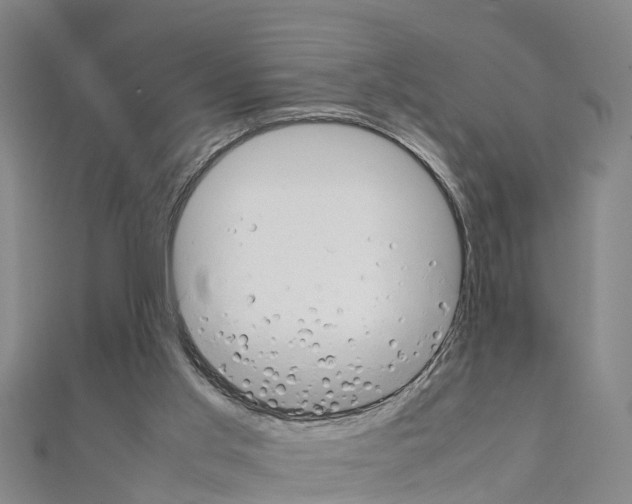 X0000111210013200908121142