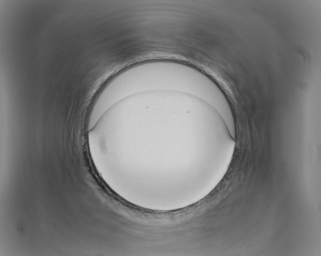 X0000111210015200908121142