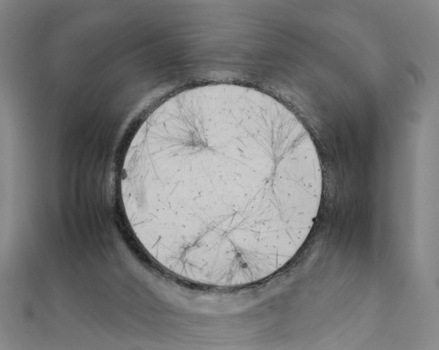 X0000111210016200908121142