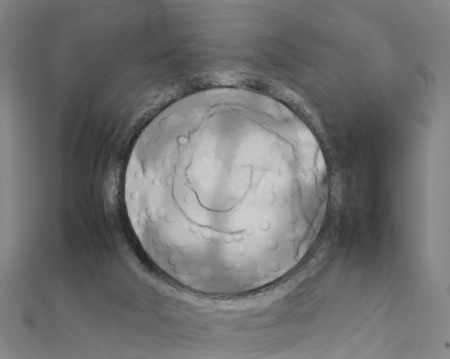 X0000111210018200908121142