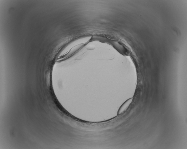 X0000111210019200908121142