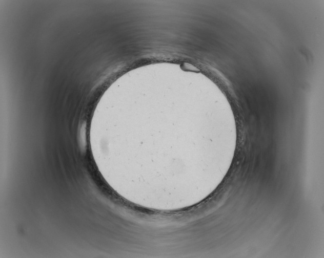 X0000111210020200908121142