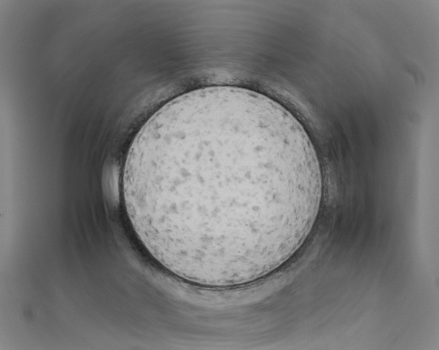 X0000111210022200908121142