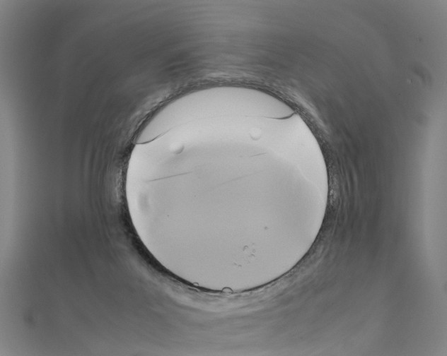 X0000111210023200908121142