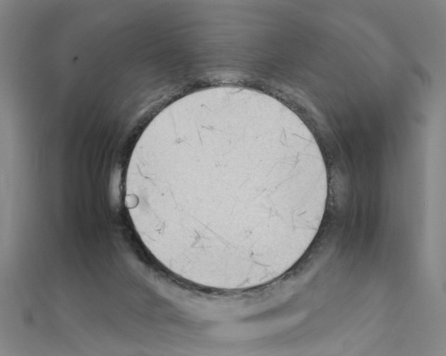 X0000111210024200908121142