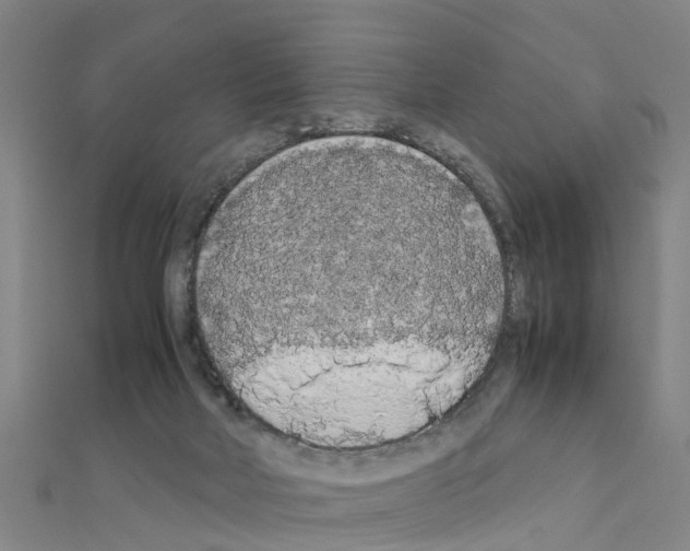 X0000111210026200908121142