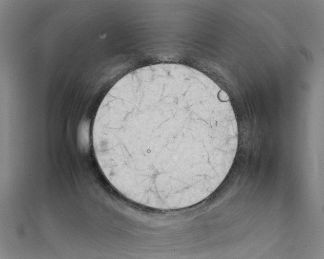 X0000111210028200908121142