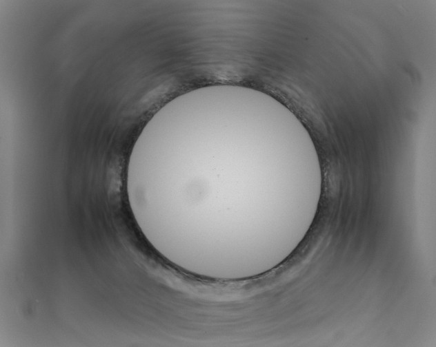 X0000111210032200908121142