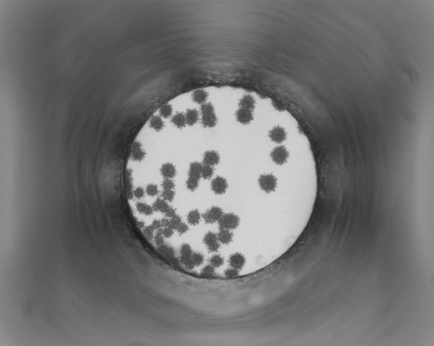 X0000111210034200908121142