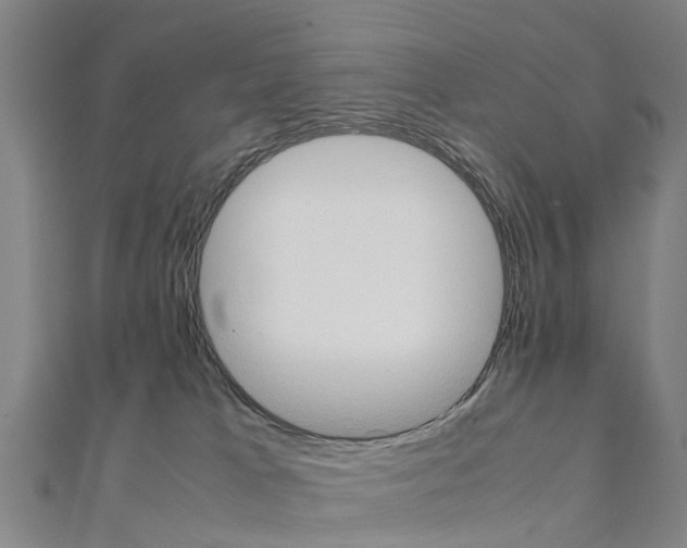 X0000111210037200908121142