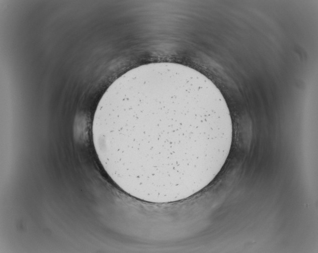 X0000111210038200908121142