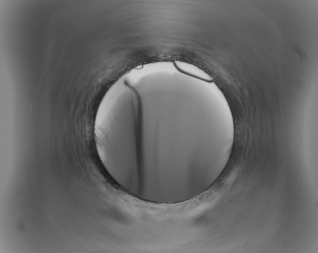 X0000111210039200908121142