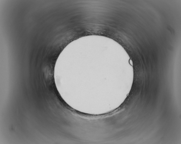 X0000111210040200908121142