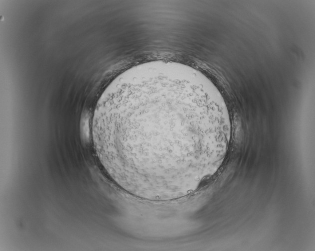 X0000111210042200908121142