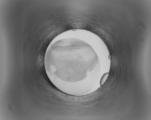 X0000111210043200908121142