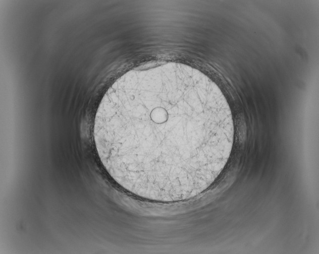 X0000111210044200908121142