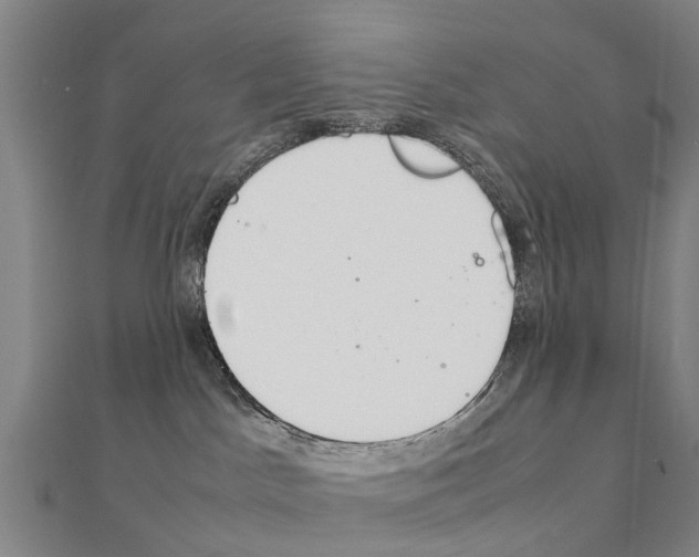 X0000111210045200908121142