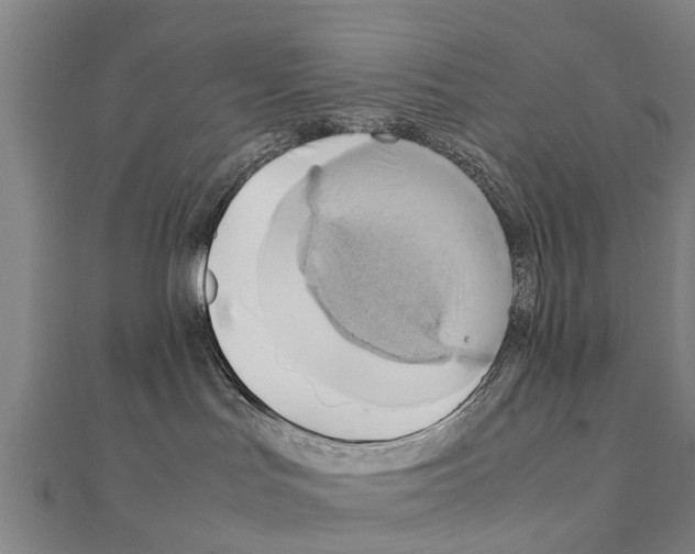 X0000111210047200908121142