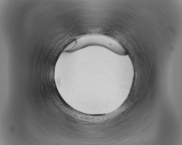 X0000111210048200908121142