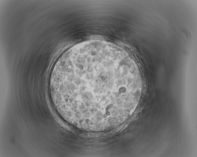 X0000111210049200908121141