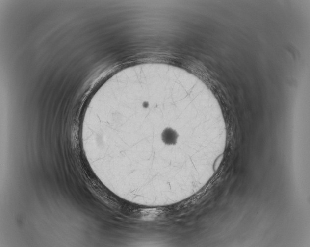 X0000111210050200908121141