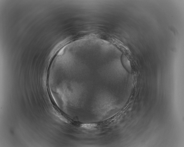 X0000111210051200908121141