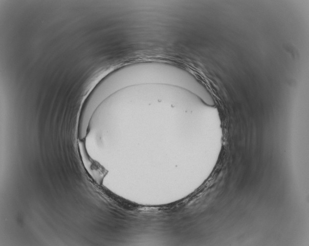 X0000111210052200908121141