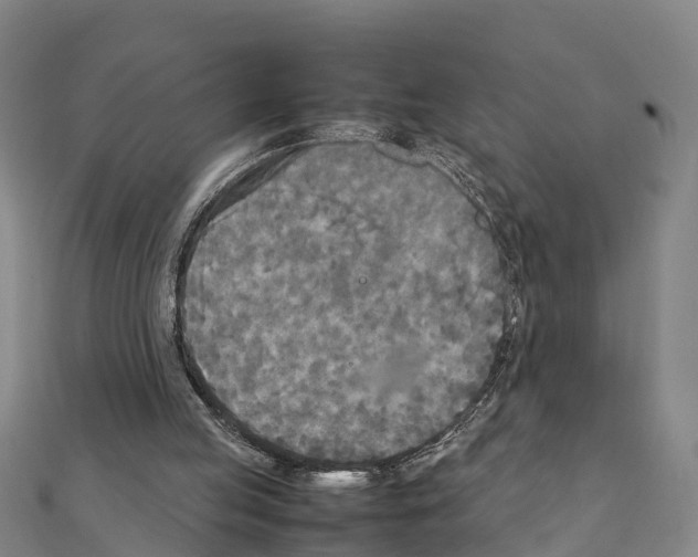 X0000111210053200908121141