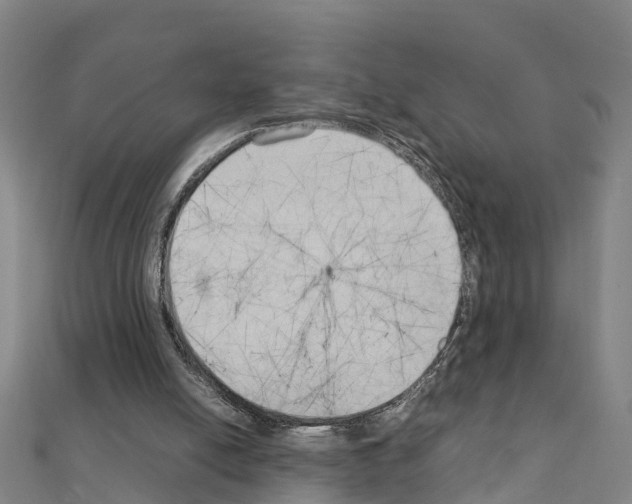 X0000111210054200908121141