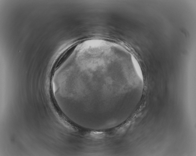 X0000111210055200908121141