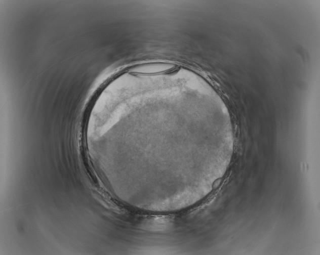 X0000111210056200908121141