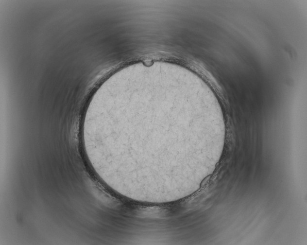 X0000111210058200908121141