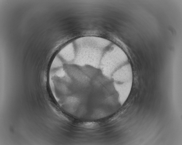 X0000111210059200908121141