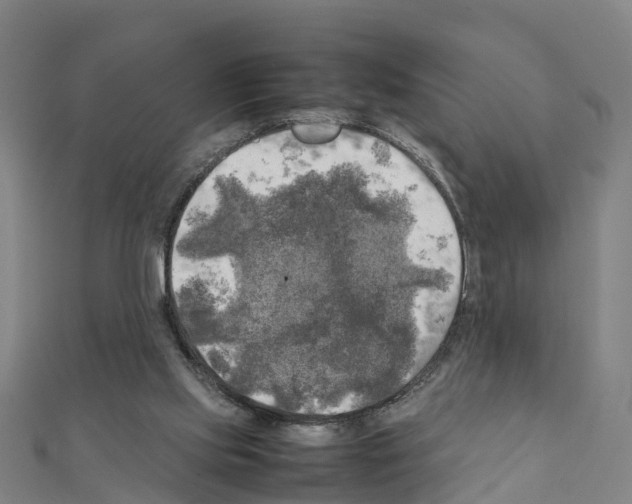 X0000111210061200908121141