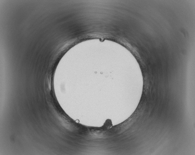 X0000111210062200908121141