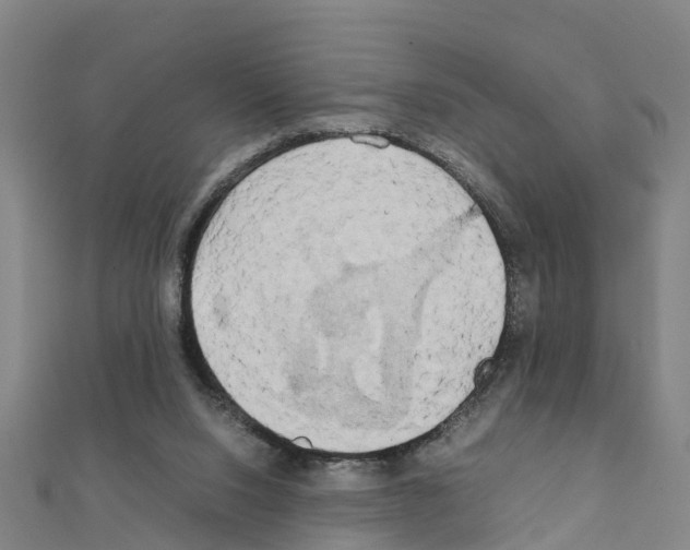 X0000111210064200908121141