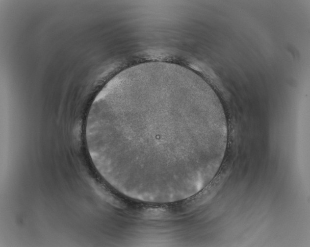 X0000111210066200908121141