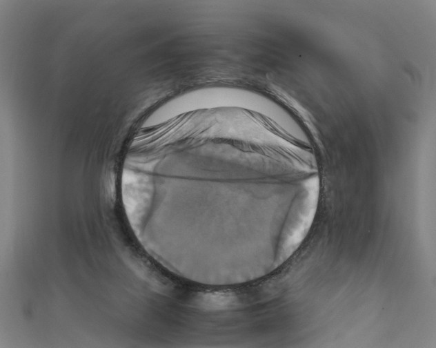 X0000111210067200908121141