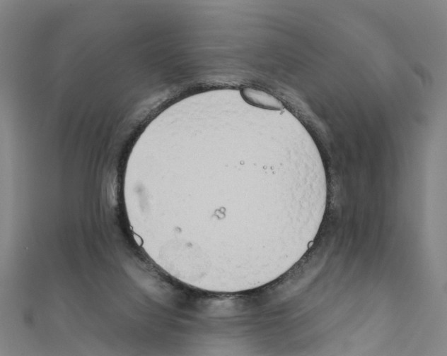 X0000111210068200908121141