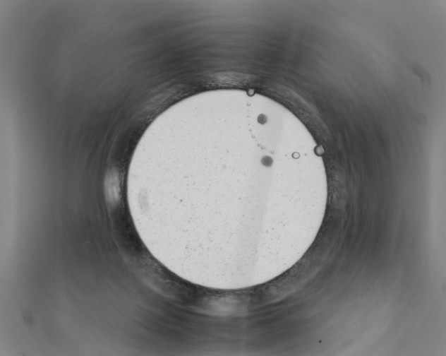 X0000111210075200908121141